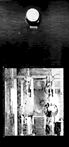 The Rectifiers